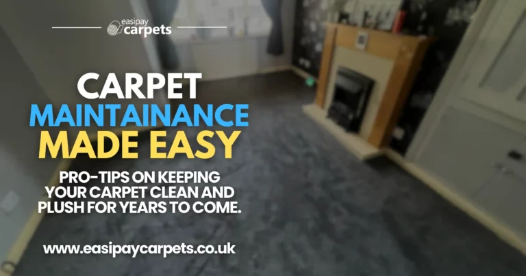 13. how to maintain your carpets