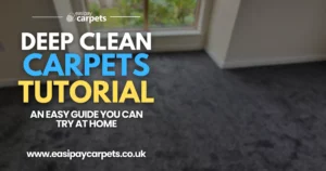 19. the carpet deep clean guide