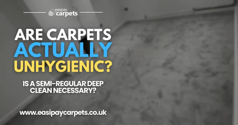 25. are carpets actually unhygienic