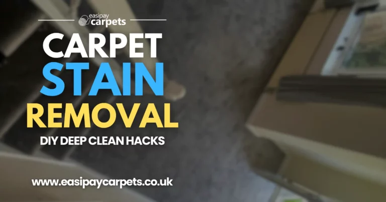 27. how to remove the most common carpet stains effectively