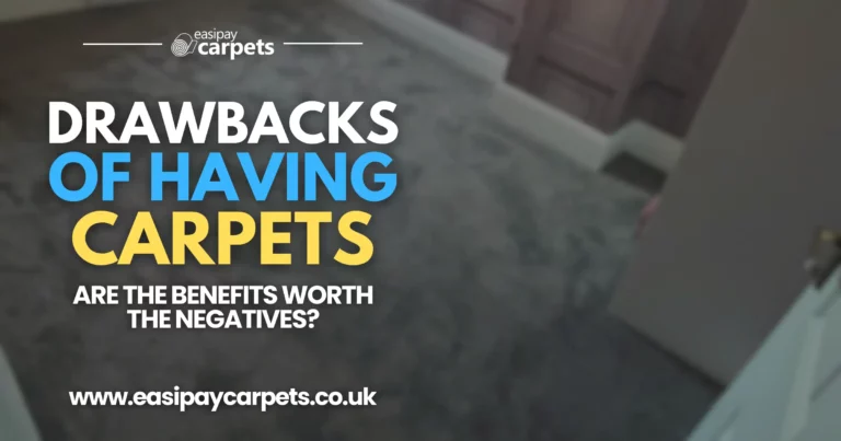 28. what are the drawbacks of carpets