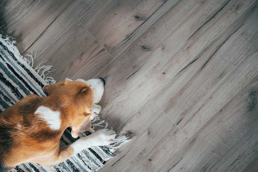 Scratch resistant pet friendly laminate - order your new laminate with Easipay's Pay Weekly Laminate Flooring Payment Plans