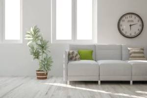 Living Room with Easipay Carpet's Pay Weekly Laminate Flooring in a light shade with plant pot and sofa