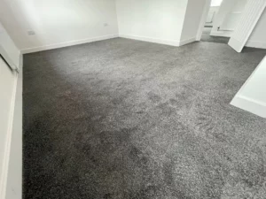 Fitter pic - grey carpet in living room