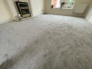 Brand new living room carpets - the king of warm flooring