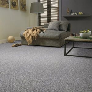 Grey minimalist style carpet paid weekly - living room carpet with mordern rustic decor
