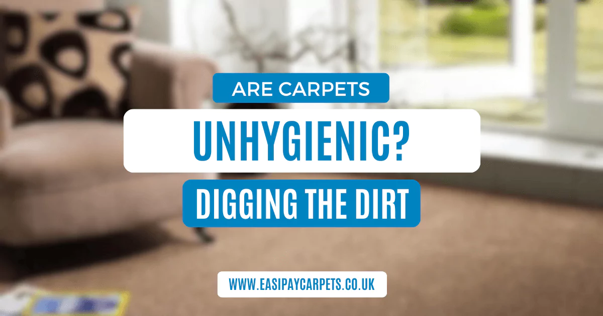 Are Carpets Actually Unhygienic?