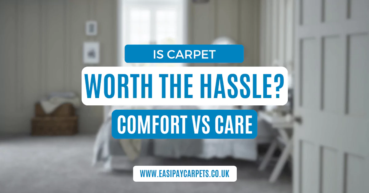 Are Carpets Worth The High Maintenance?