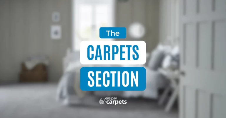 Blog banner - The Carpet Section
