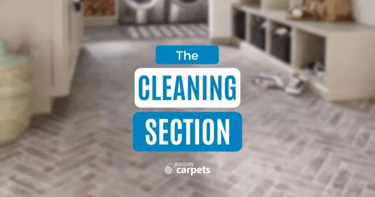 Blog banner - The Cleaning Section