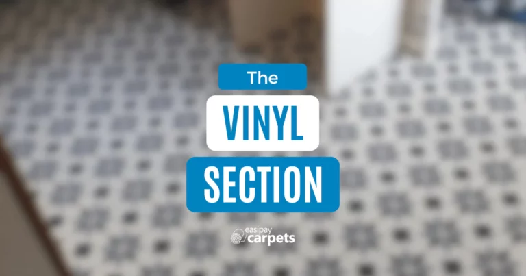 Blog banner - The Vinyl Section