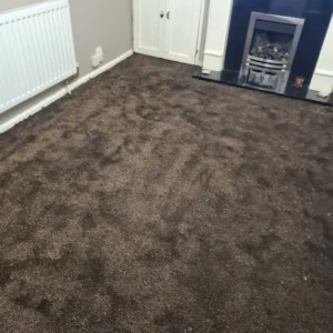 Carpets - Luxury - cappuccino 5