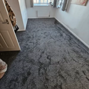 Carpets - Elegance - Mist 3