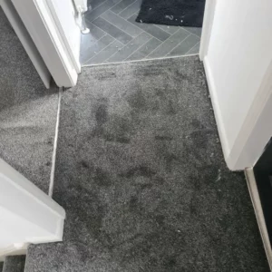 Carpets - Turin - N Grey 2