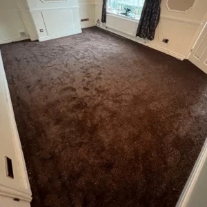 Carpets - Turin - Oak 5