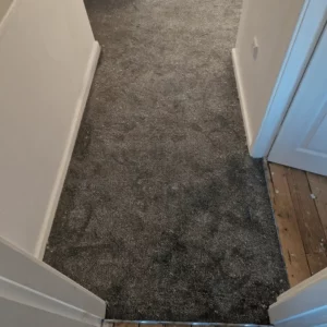 Carpets - Elegance - Smoke 4