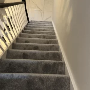 Carpets - Elegance - Silver 5