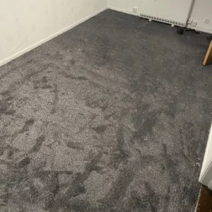 Carpets - Elegance - Storm 5