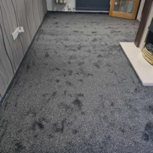 Carpets - Turin - Dark Grey 3