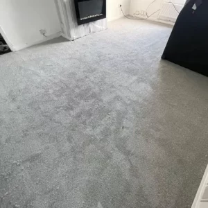 Carpets - Elegance - Silver 3