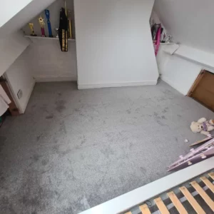 Carpets - Turin - Frosted Silver 2