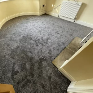 Carpets - Elegance - Storm 3