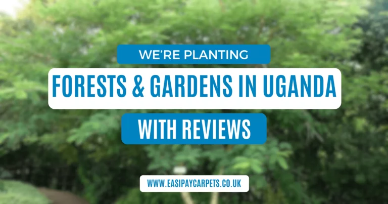 We're Planting Forest Gardens in Uganda With Your Reviews!