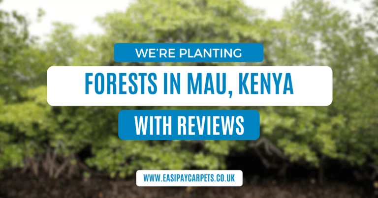 We're Planting Forests in Kenya With Your Reviews!