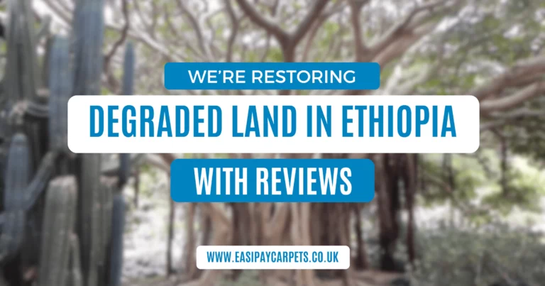 we're restoring land in Ethiopia with your reviews!