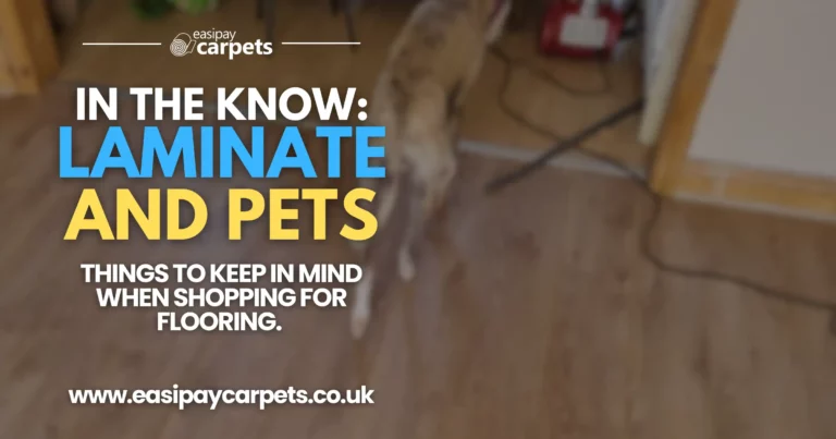 108. laminate flooring and pets - what you need to know