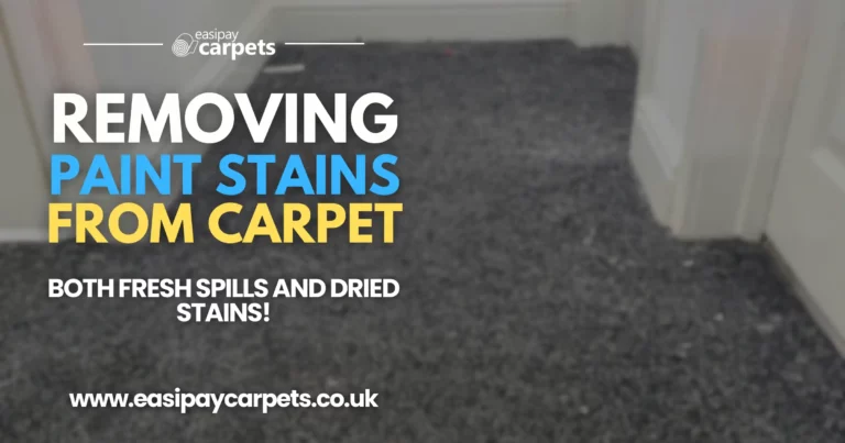 113. how to remove paint from carpets