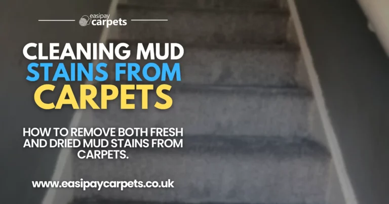 120. removing mud stains from carpets