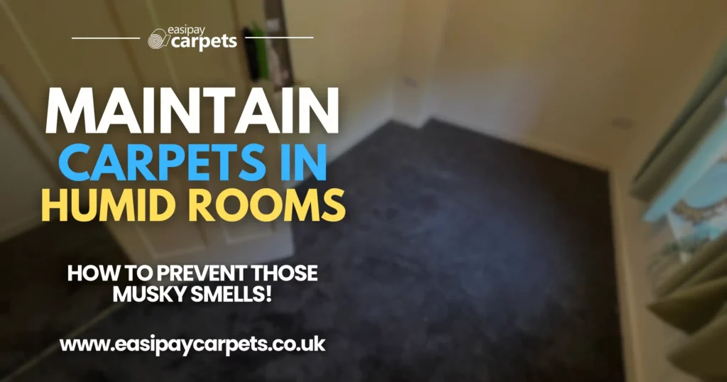 128. the best ways to maintain carpets during humid seasons