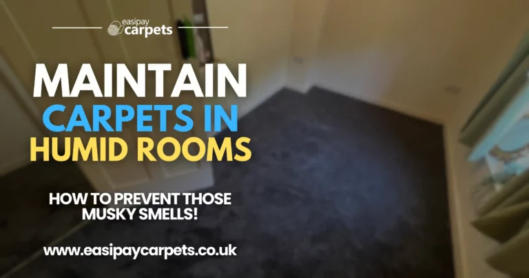 128. the best ways to maintain carpets during humid seasons