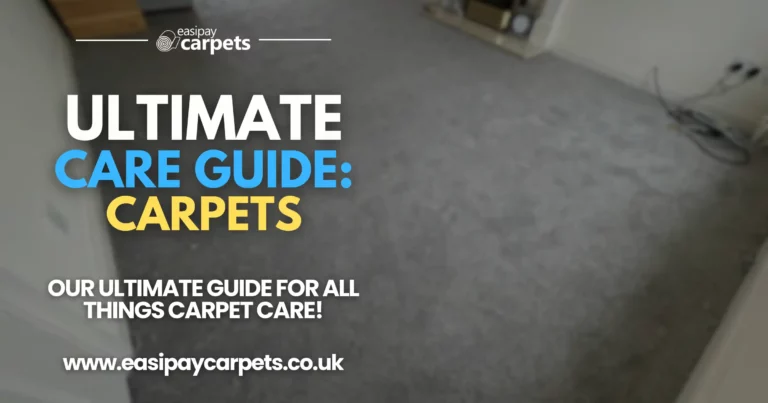 130. the ultimate carpet care guide