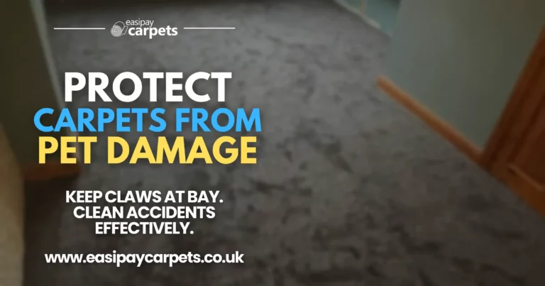 140. how to protect carpets from pet damage