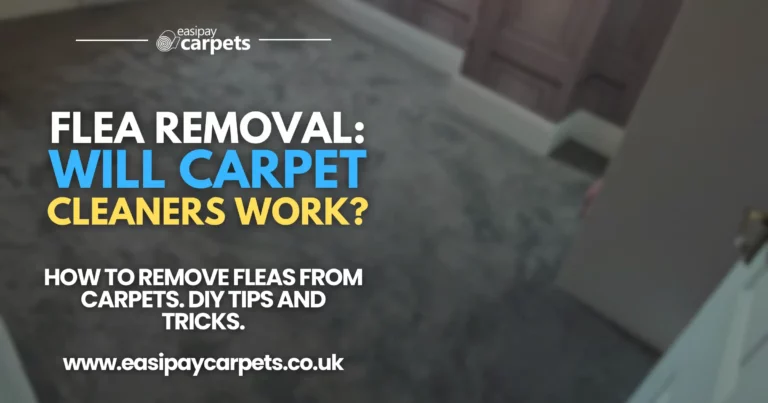 141. flea removal_ will carpet cleaners kill fleas