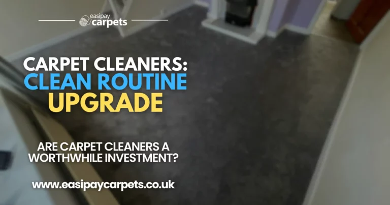 148. Why carpet cleaners could be the ultimate upgrade to your clean routine