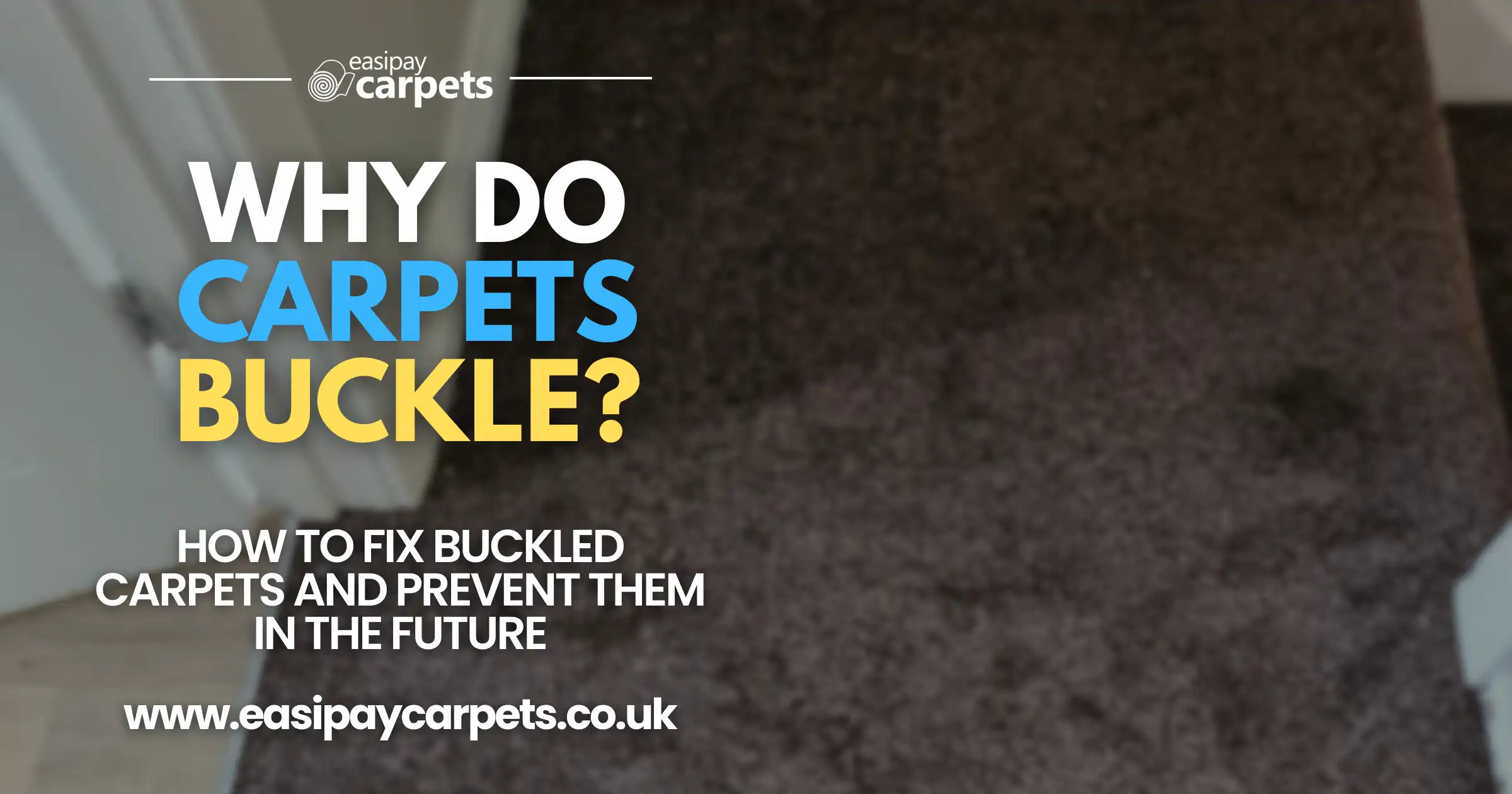infographic carpet buckling solutions