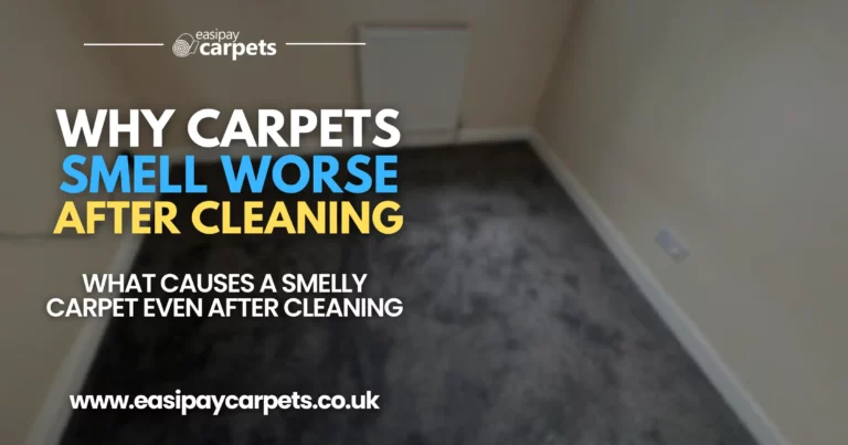 154. why your carpet smells worse after cleaning it