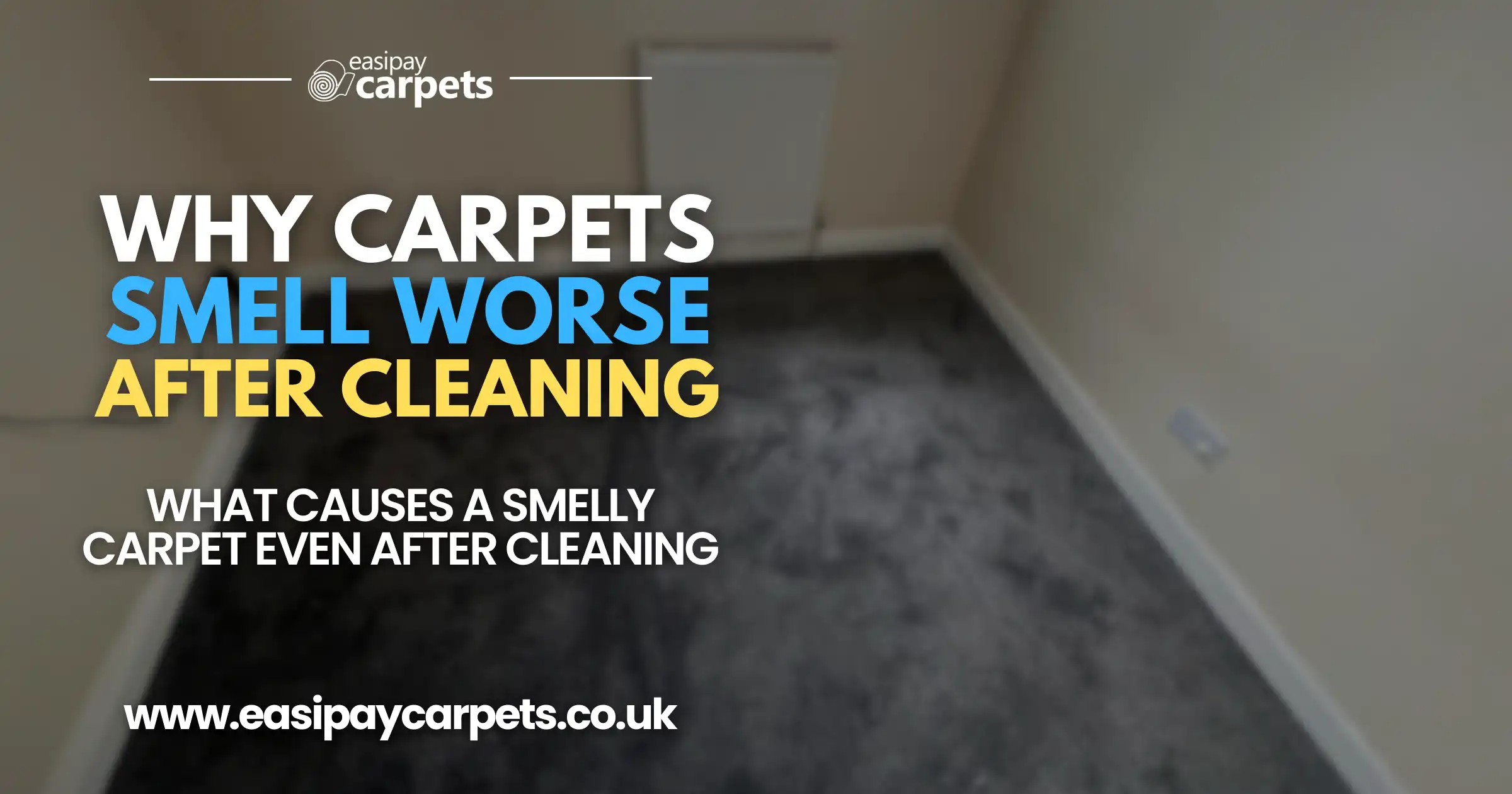 Why is My Carpet Smelling Musty Even After Cleaning 