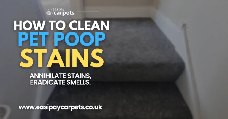 158. accidents happen - how to remove pet poop from carpet