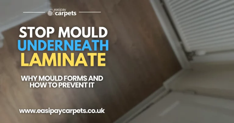164. how to stop mould from forming underneath laminate flooring
