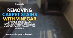 209-the-best-ways-to-remove-carpet-stains-with-vinegar