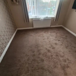 Carpet (10)