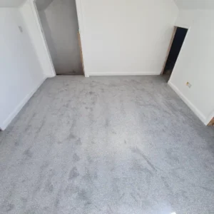 Carpet (13)
