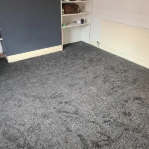 Carpet (14)