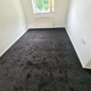 Carpet (17)