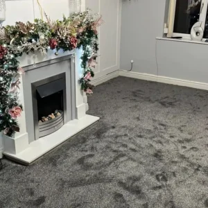 Carpet (18)