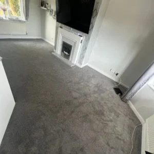 Carpet (2)